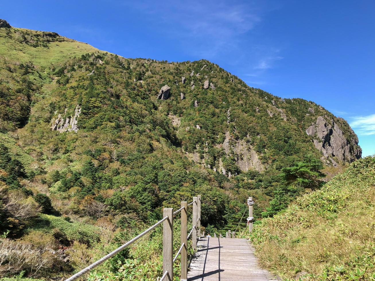 Way on Hallasan volcano. Jeju island, South Korea photo