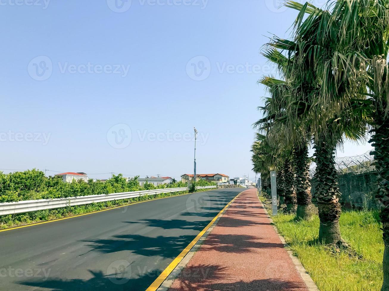 Empty street with palm trees on Jeju island. Summer day. South Korea photo