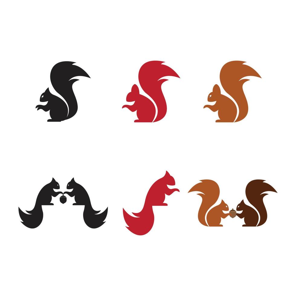 Squirrel logo template illustration design vector