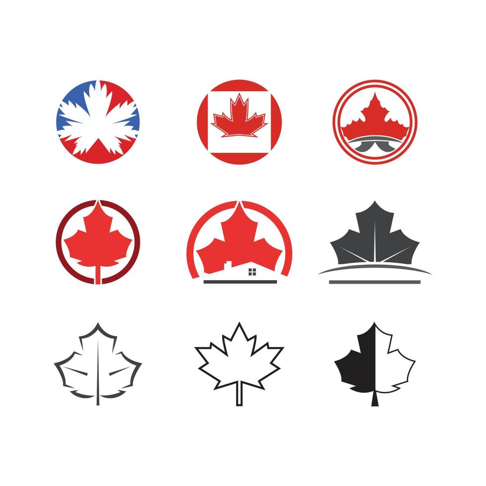 Maple leaf vector illustration design template