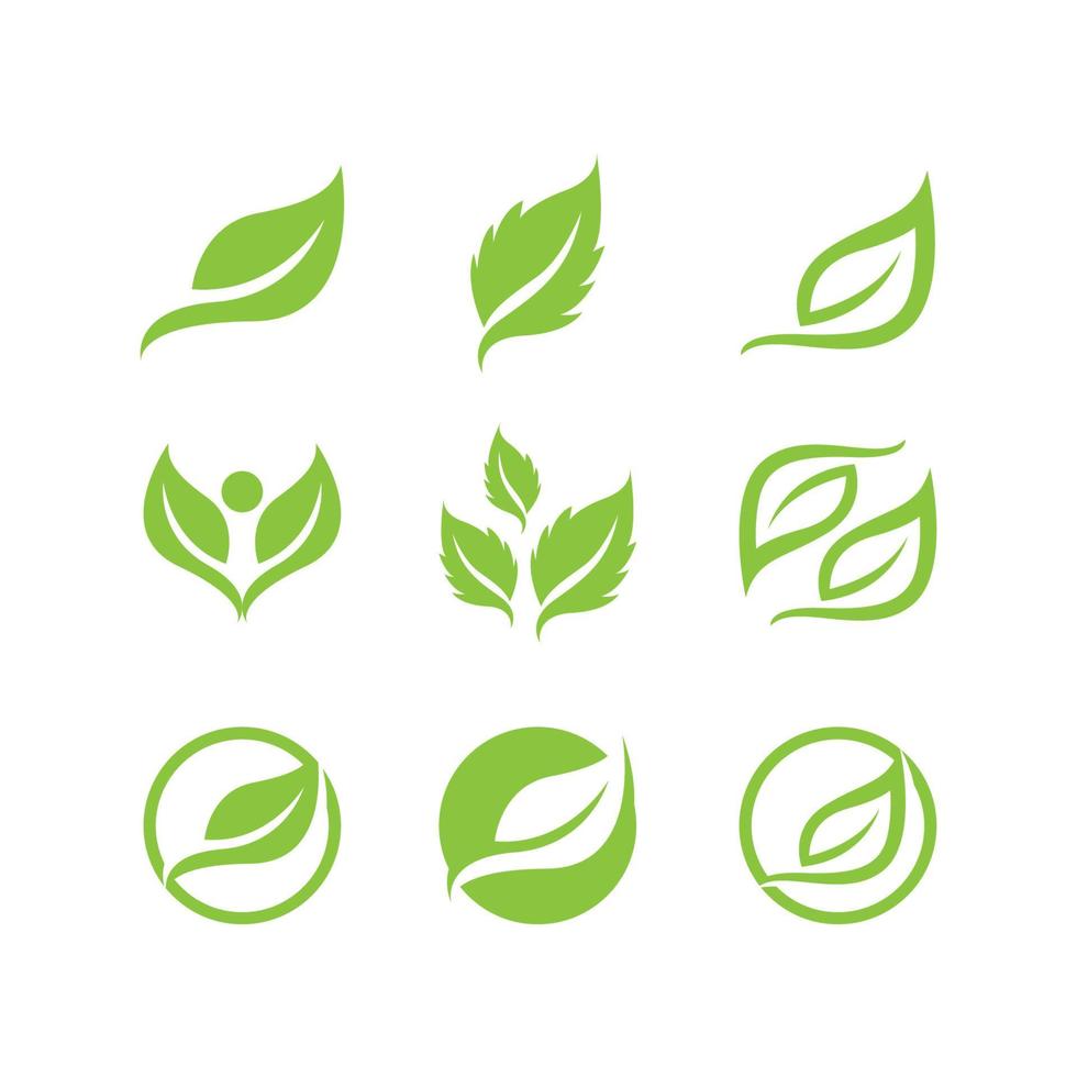 Leaf icon Vector Illustration design Logo template