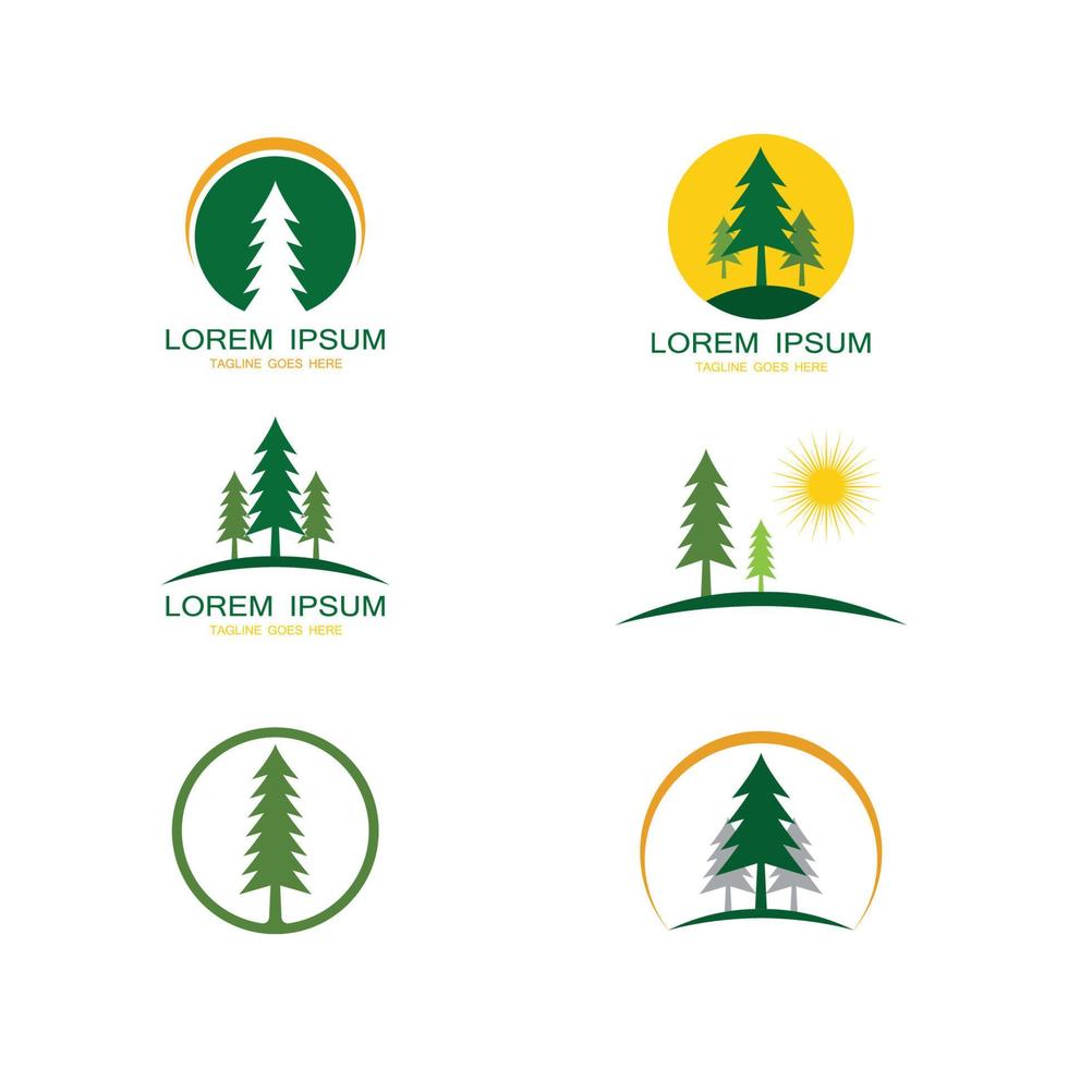 pine evergreen fir hemlock spruce conifer cedar Christmas tree Logo design vector