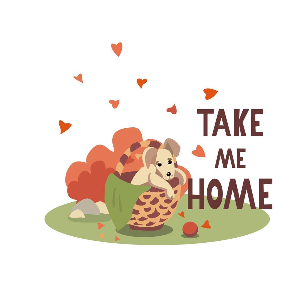 Take me home text and the cute sad puppy sitting into the wicker basket vector