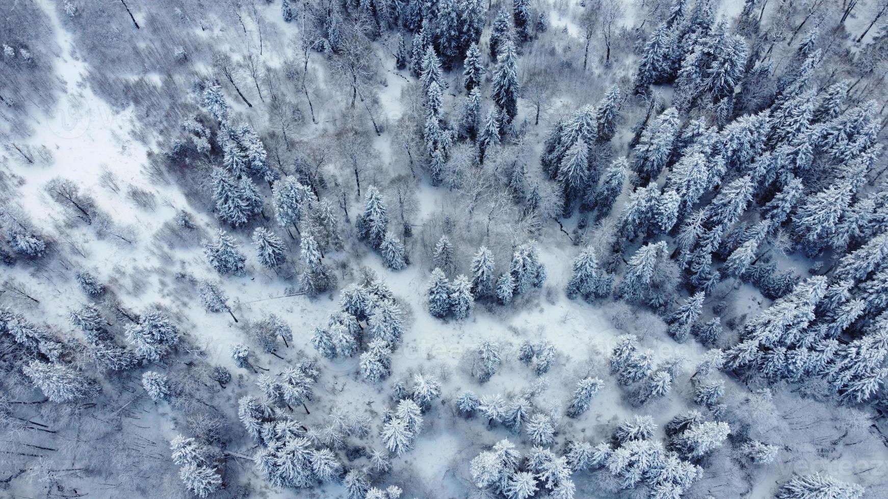 Vista aérea del bosque nevado - vista de drone de los árboles nevados foto