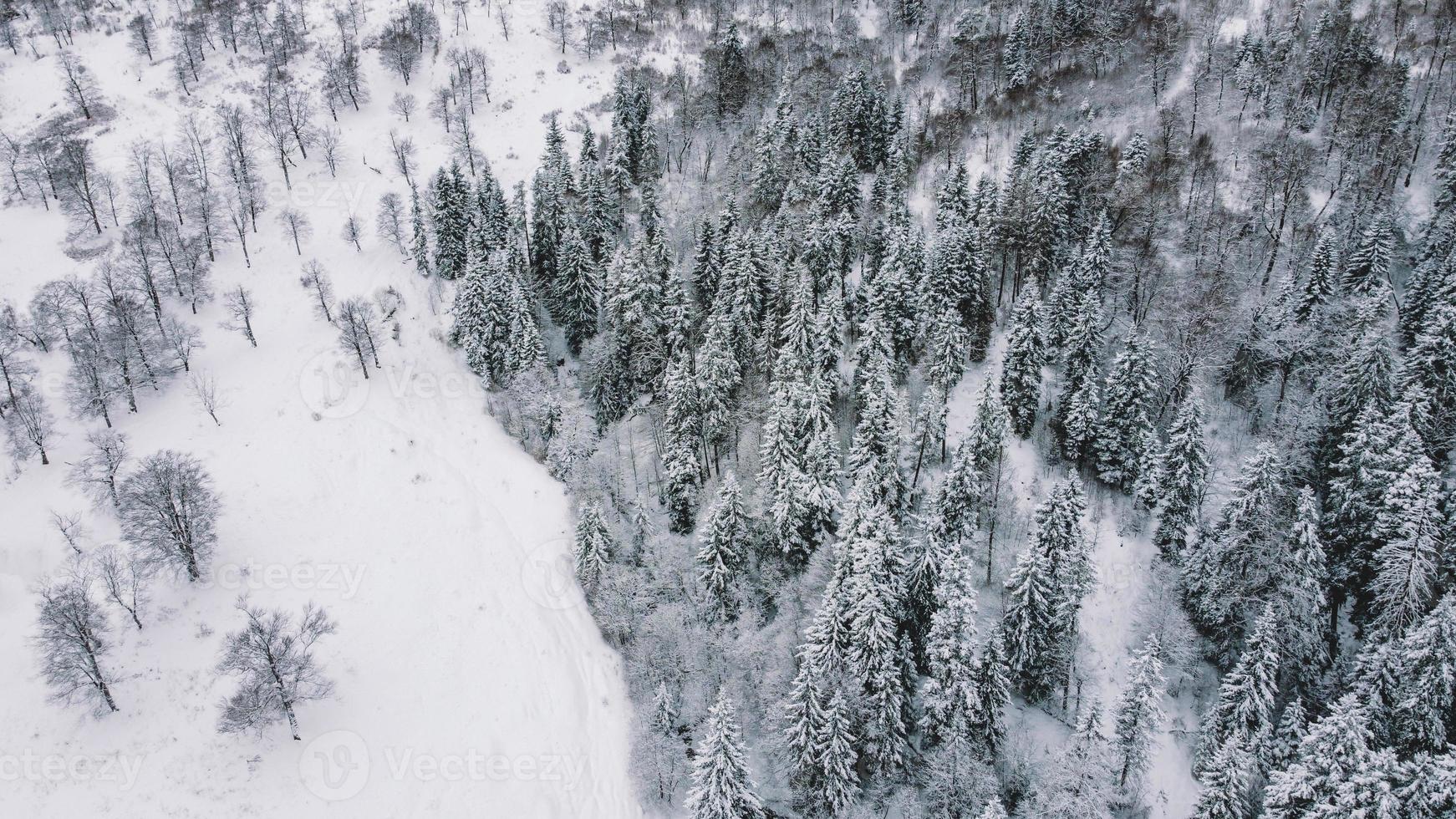 Vista aérea del bosque nevado - vista de drone de los árboles nevados foto
