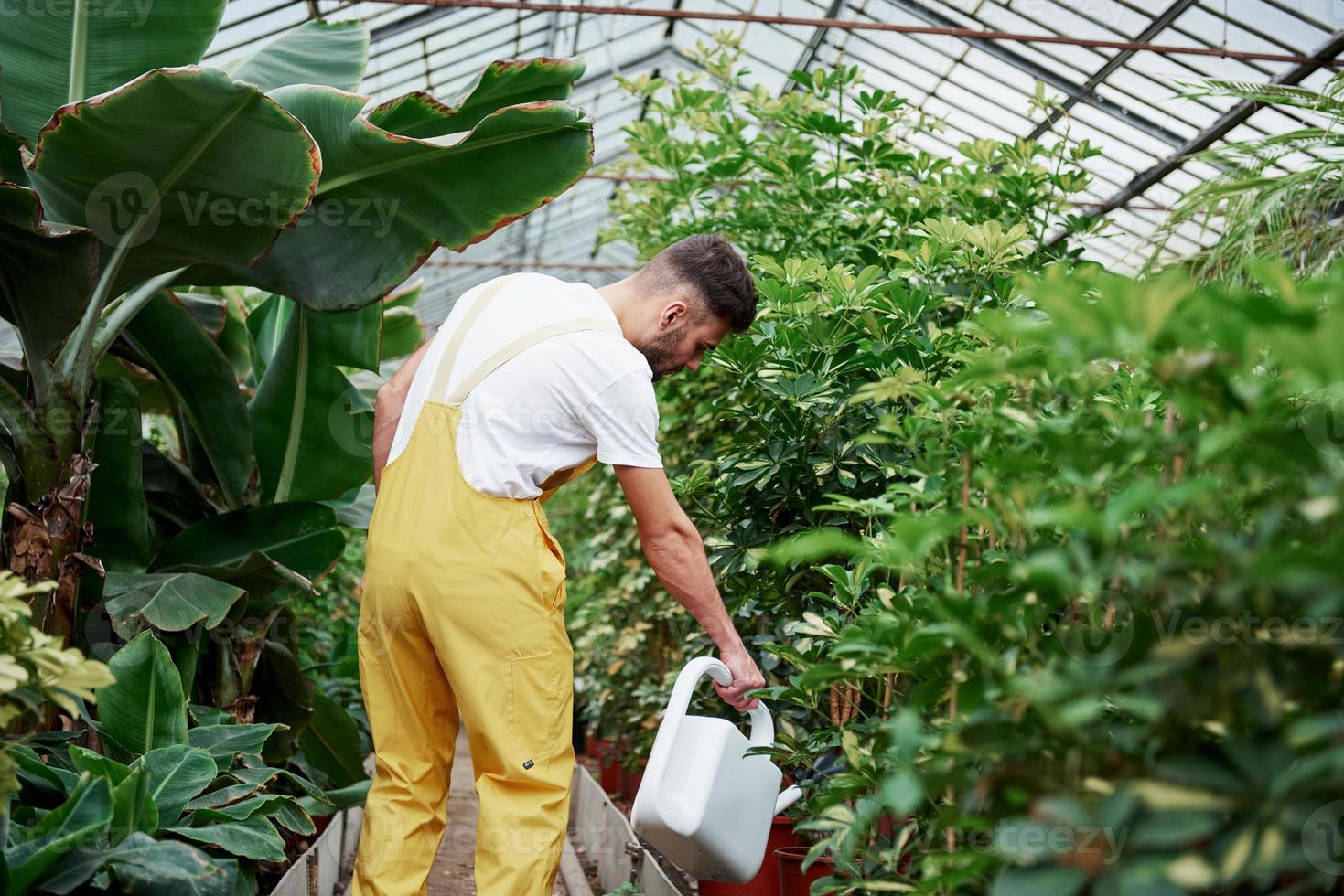 día normal en invernadero. chico joven regando las plantas foto