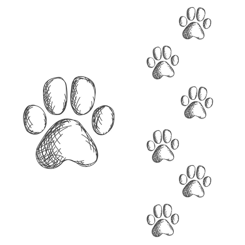 huellas de tigre. huellas típicas - ilustración de vector de icono negro aislado sobre fondo blanco. símbolo 2022