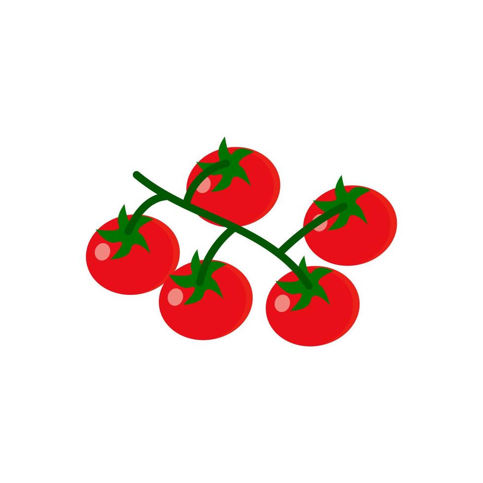 Fresh cherry tomato branches. Small vegetables on food plant. Flat vector illustration isolated on white background.