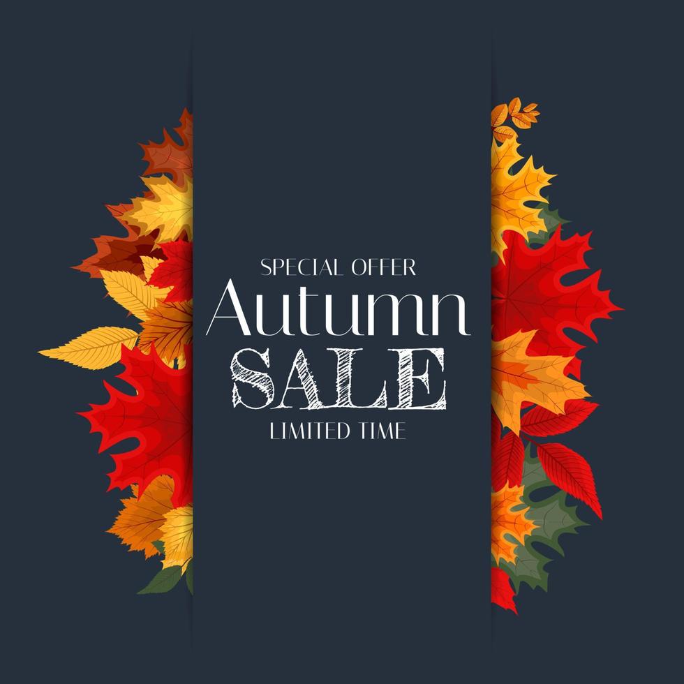 Autumn Sale Background Template with leaves. Special offer. Limited Time. Vector Illustration