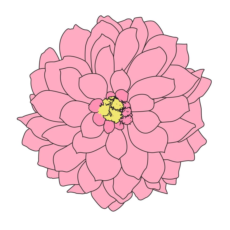 Abstract Hand Drawn Dahlia flower. Vector Illustration