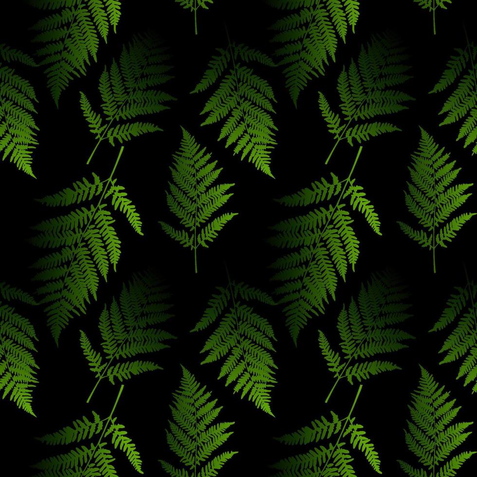 Fern leaf seamless pattern background. Vector Illustration