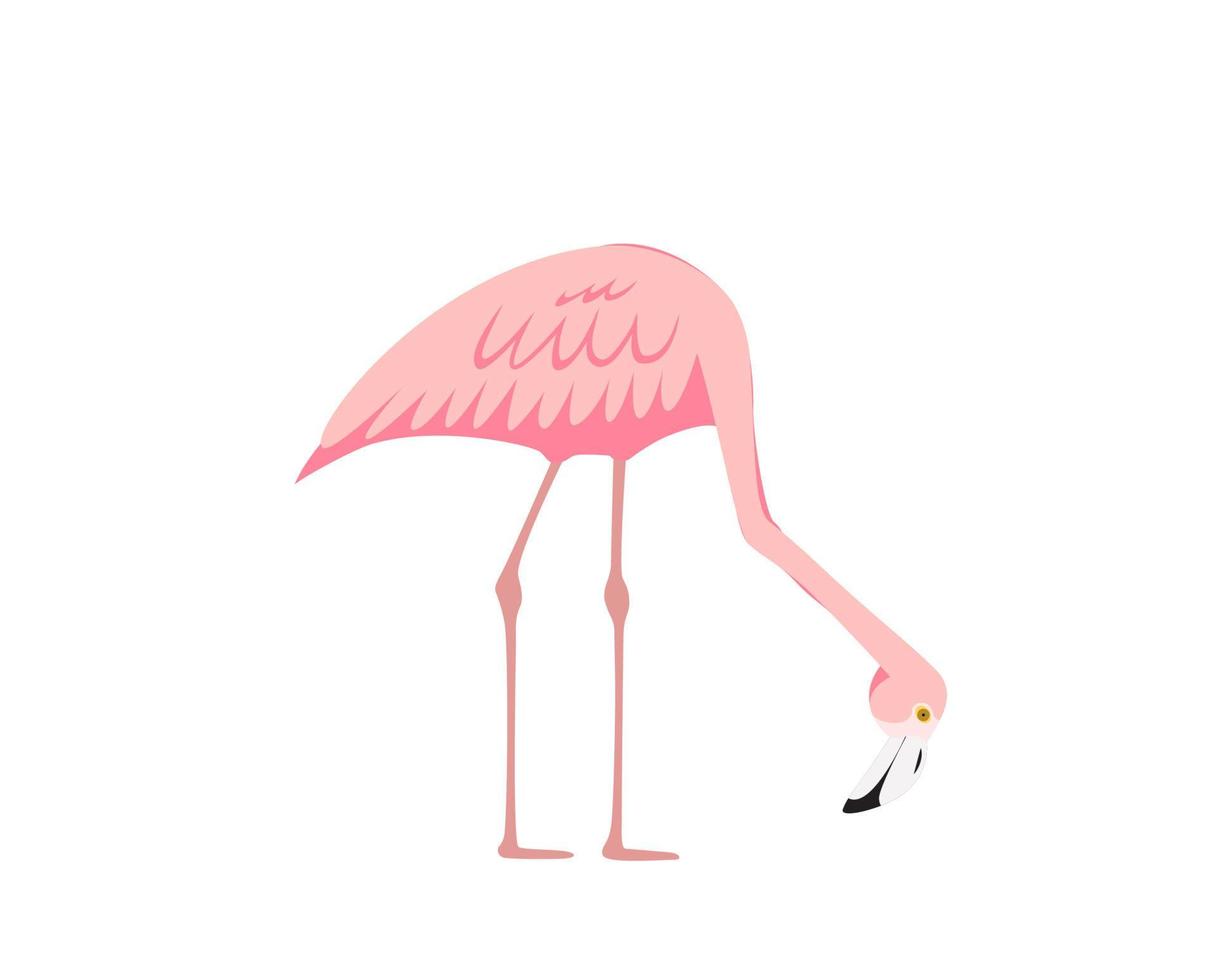 Colorful pink decorative flamingo isolated on white background. Vector Illustration