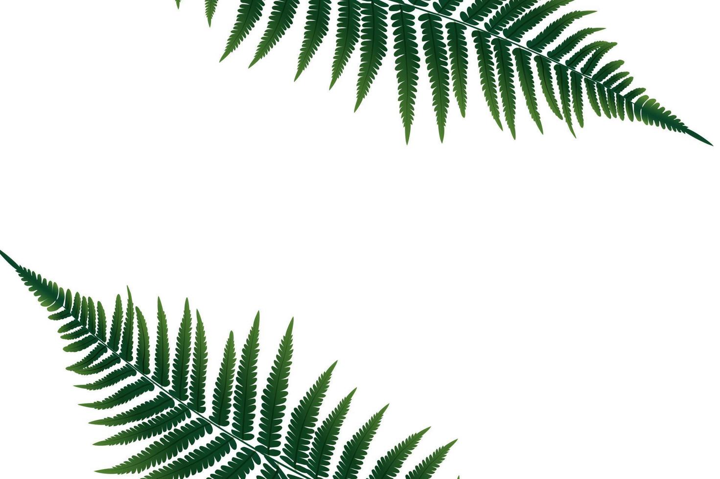 Fern Leaf Vector Background Illustration