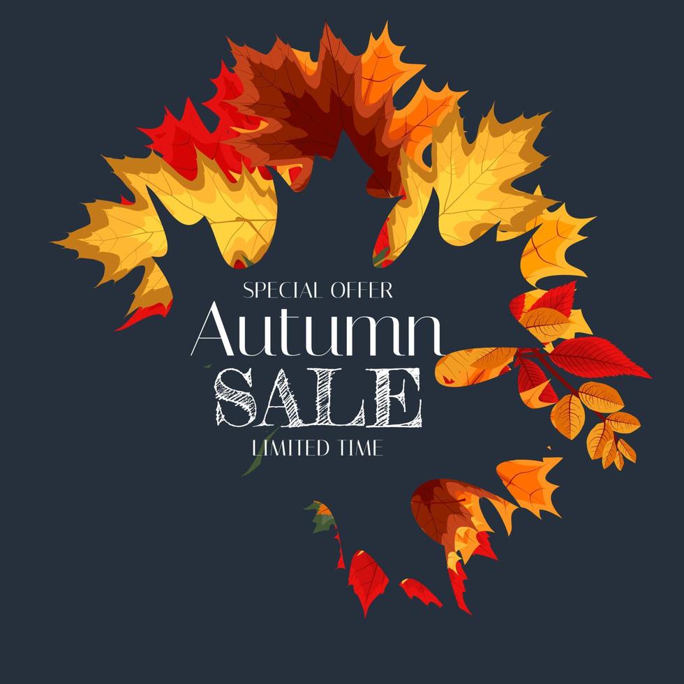 Autumn Sale Background Template with leaves. Special offer. Limited Time. Vector Illustration