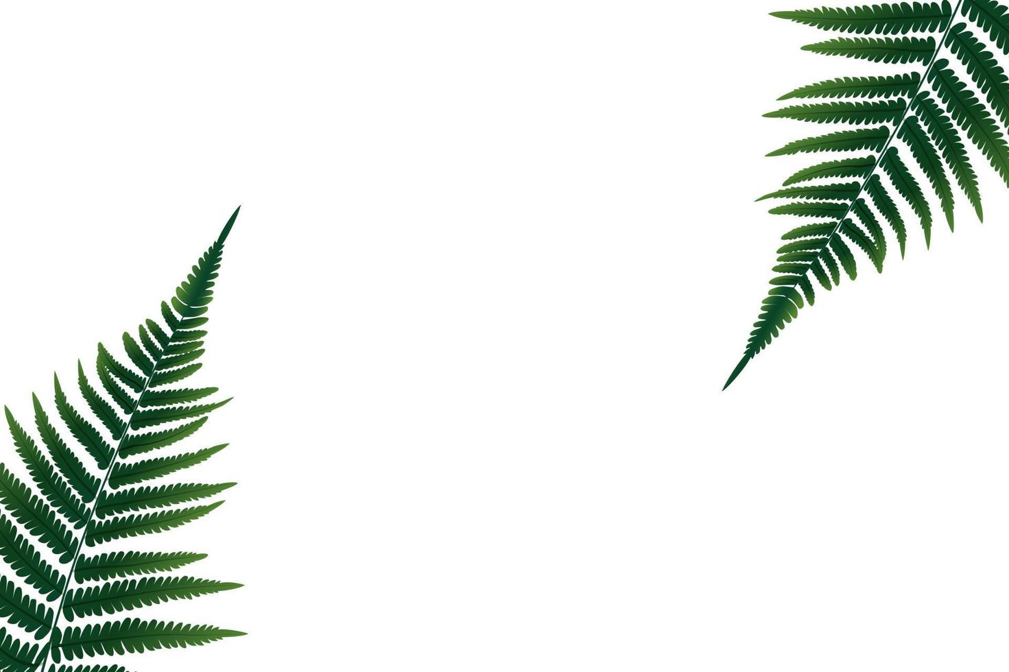 Fern Leaf Vector Background Illustration