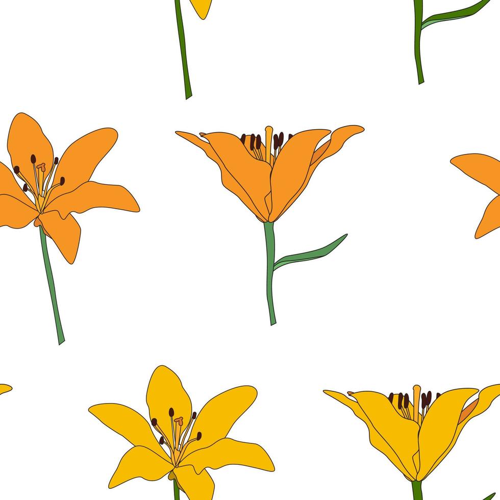 Hand drawn Lilly flower seamless pattern background. Vector Illustration