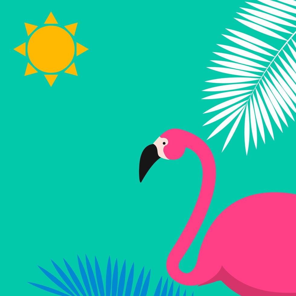 Cartoon Pink Flamingo background. Vector Illustration