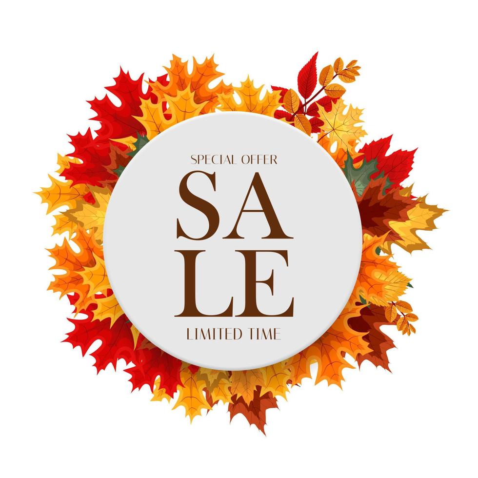 Autumn Sale Background Template with leaves. Special offer. Limited Time. Vector Illustration