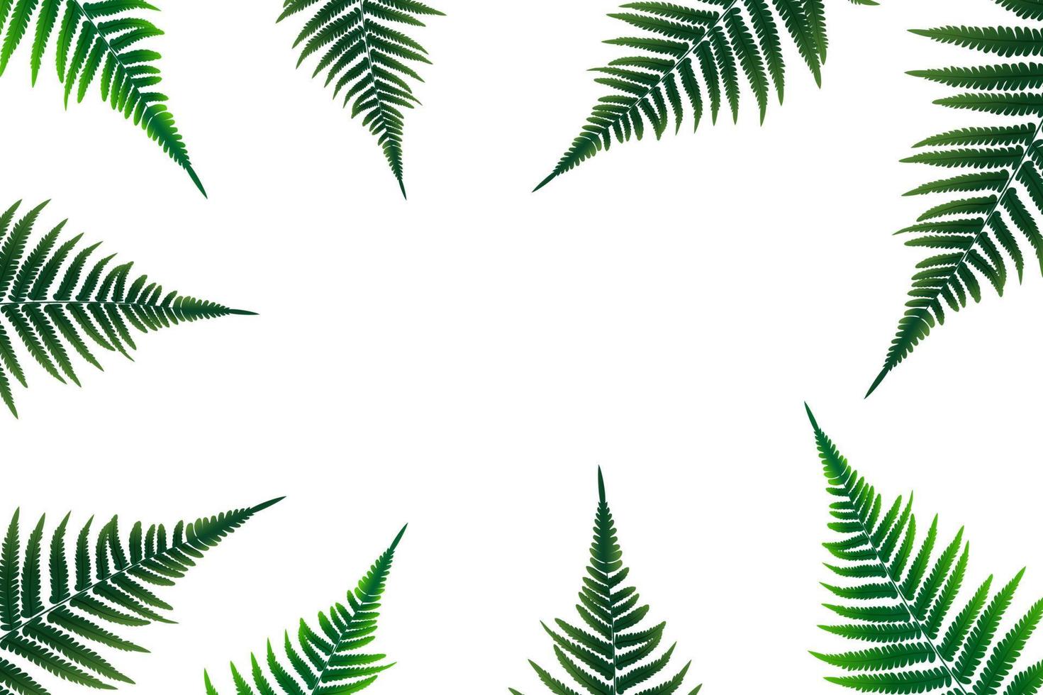 Fern Leaf Vector Background Illustration