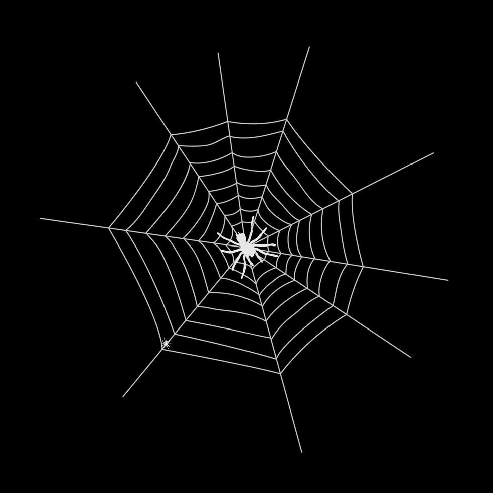 Web silhouette on a dark background. Vector Illustration