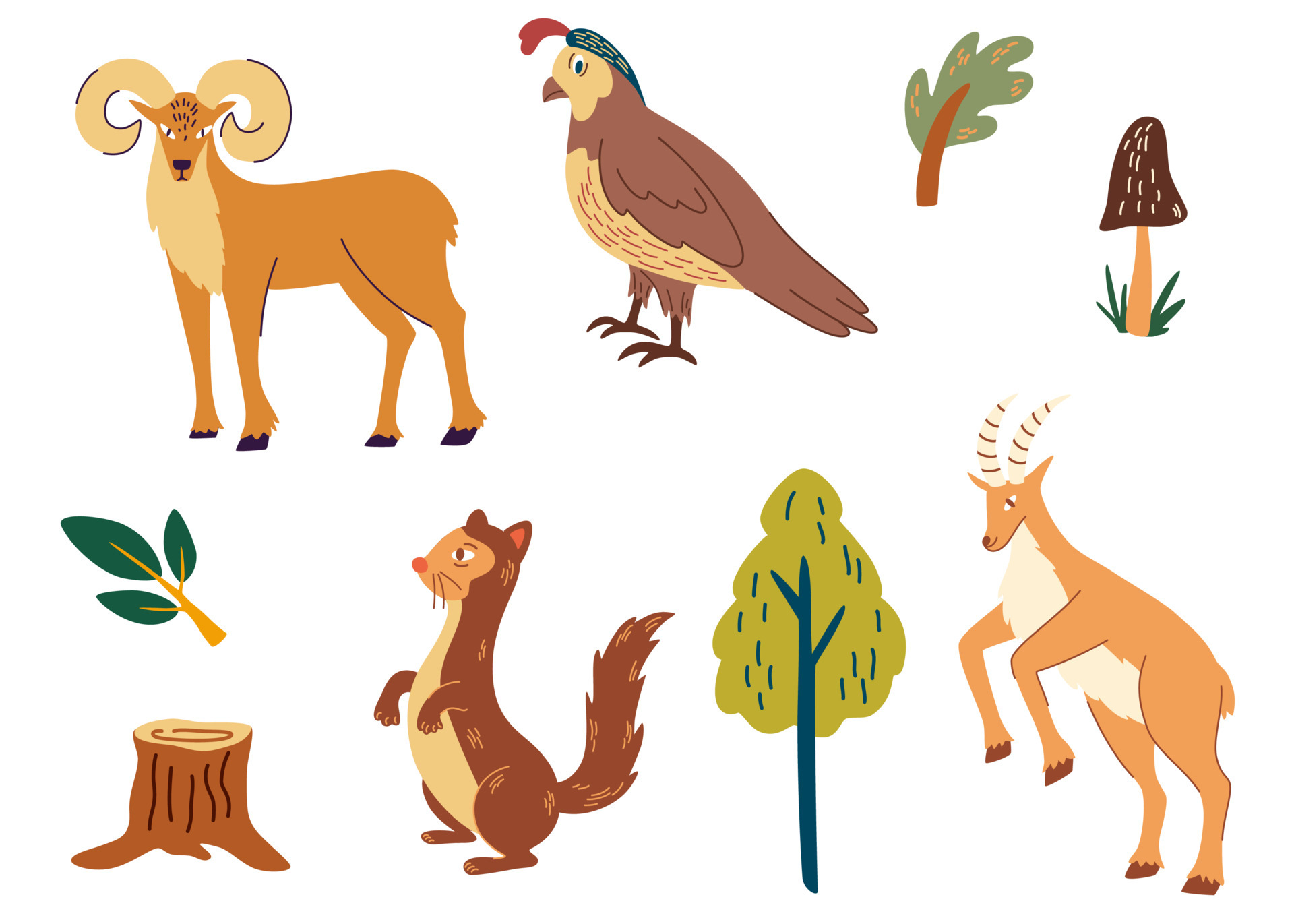Forest animals set. Ferret, quail, goat and deer. Colorful isolate  characters. For children, postcards, books and educational games. Vector  illustration cartoon style. 4263041 Vector Art at Vecteezy