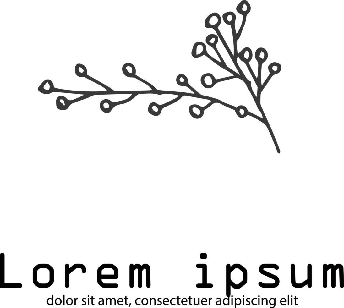 organic botanical minimal natural logo vintage vector
