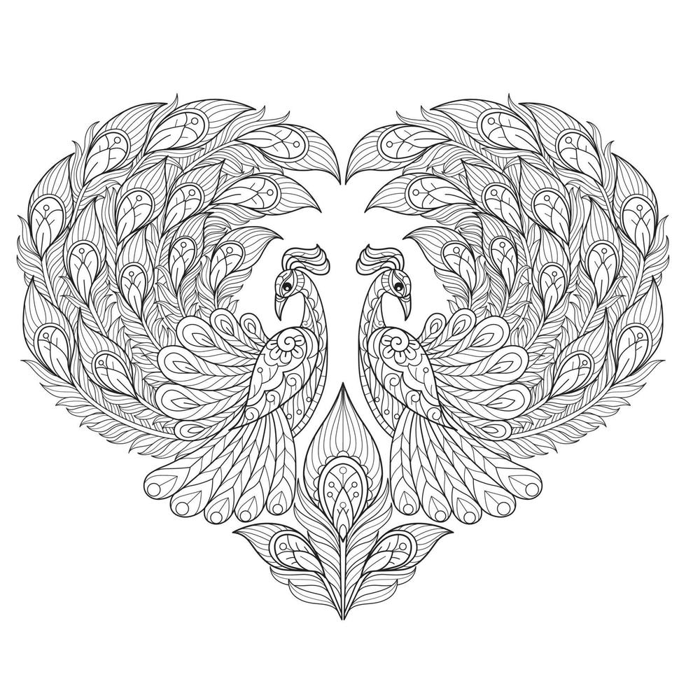 Peacock heart hand drawn for adult coloring book vector