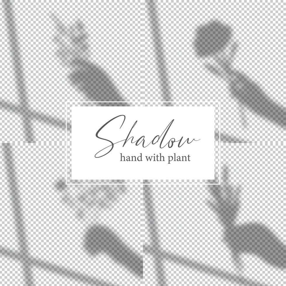 Hand with plant and flowers.Set of shadow overlay effect. Mockup of transparent shadow overlay effect and natural lightning. vector
