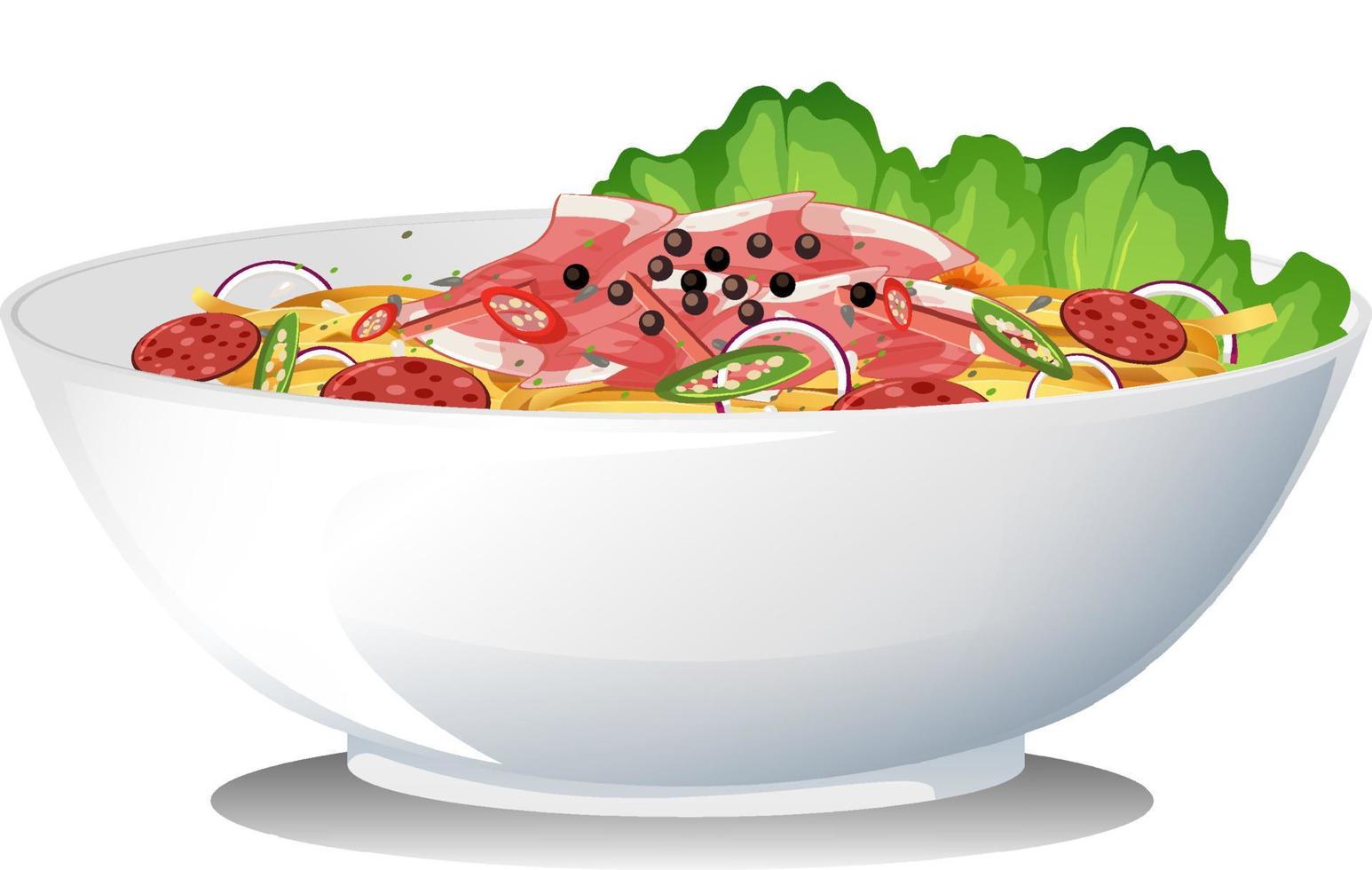 Side view of spaghetti bowl isolated vector