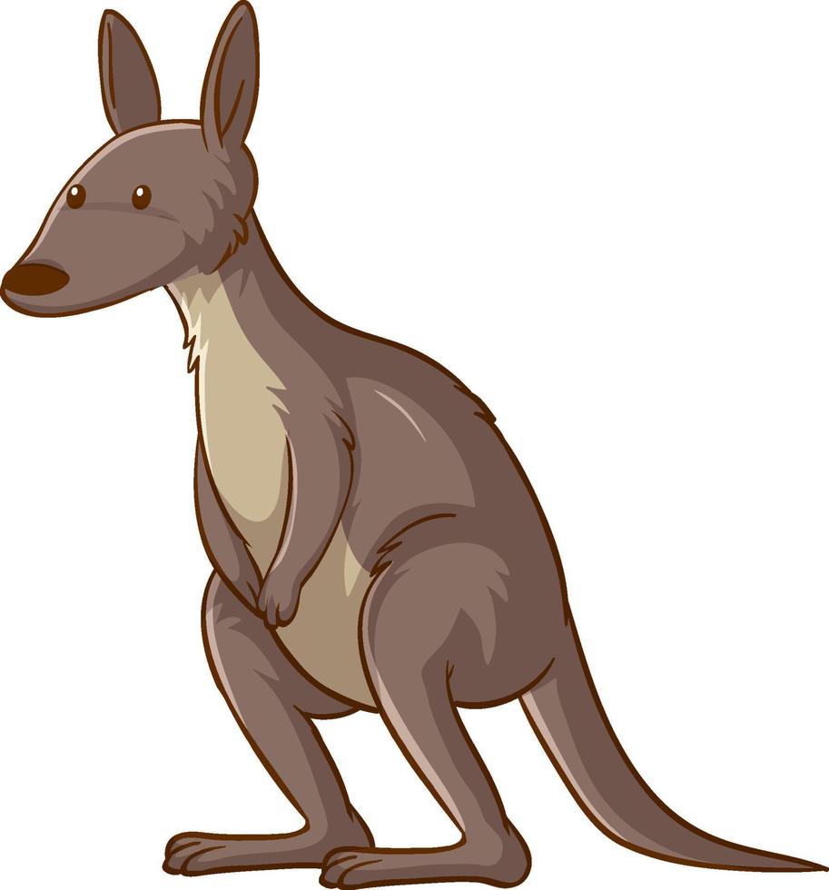 Kangaroo cartoon on white background vector