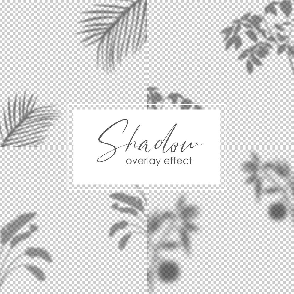 Set of shadow overlay effect. Transparent soft light and shadows from plant branches, leaves and foliage. Mockup of transparent shadow overlay effect and natural lightning. vector