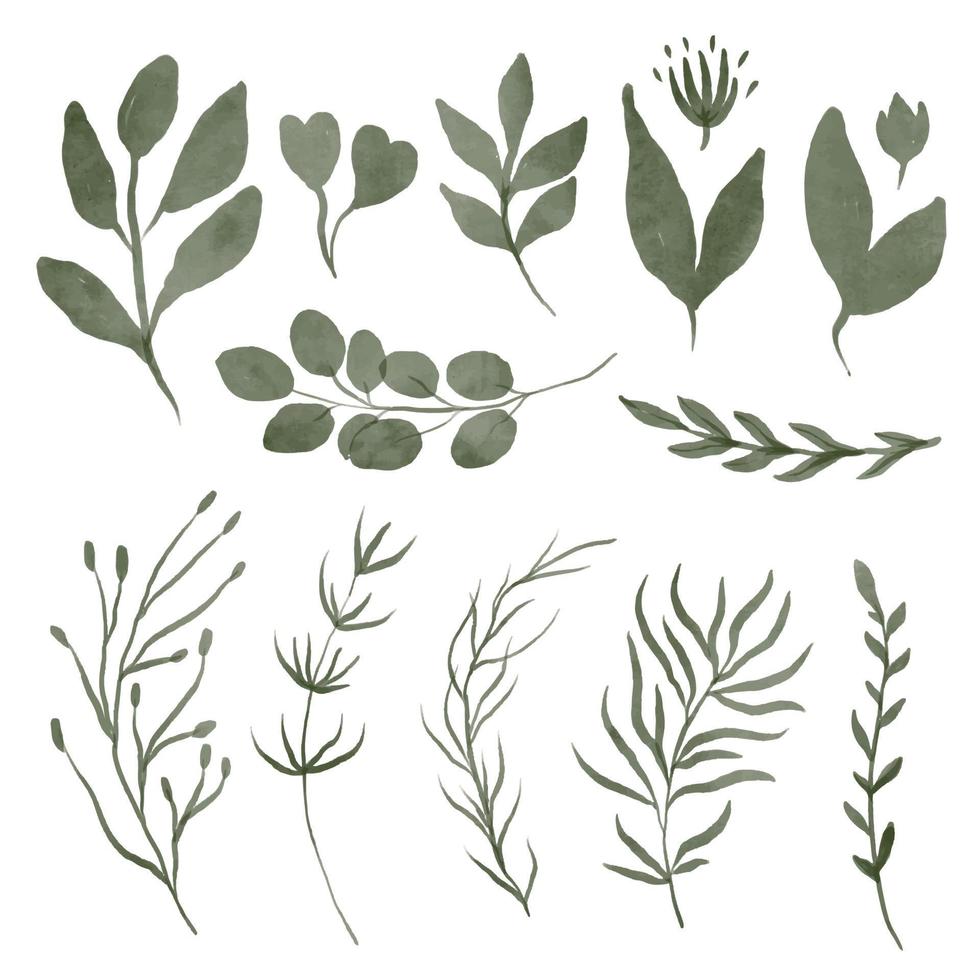 Set of vector watercolor leaves and branches. Lovely design element to make your own pattern, laurels and compositions. Great for wedding or invitations.