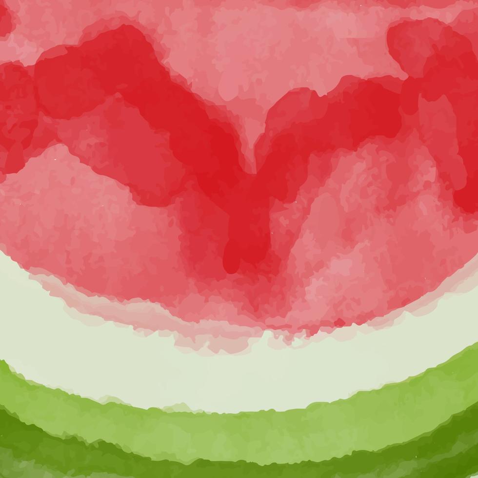 Watermelon Watercolor Hand painted texture background. vector
