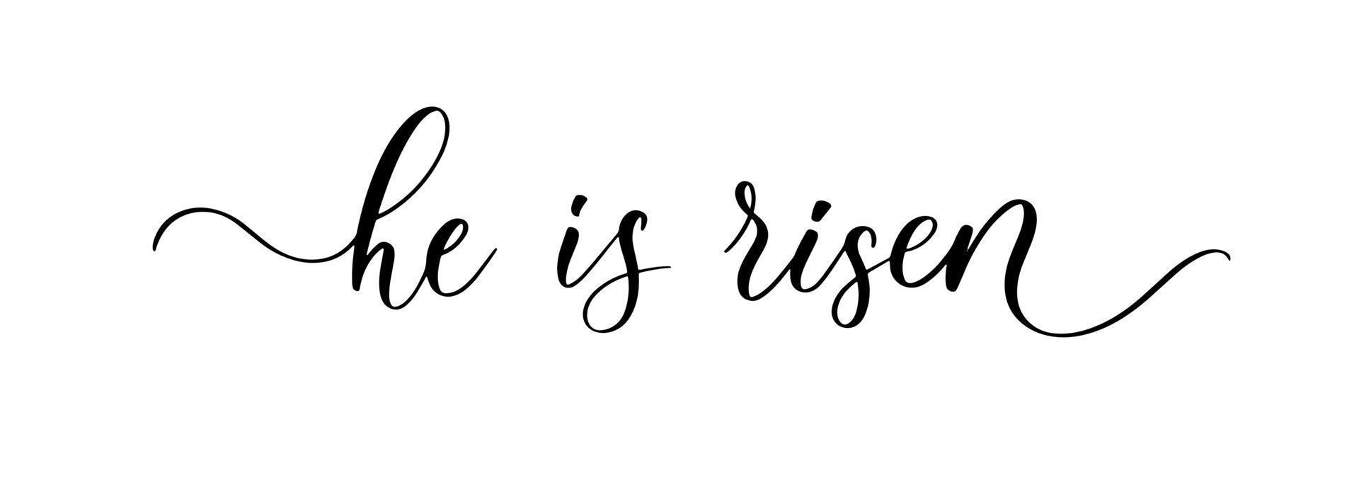 He is risen. Wavy elegant calligraphy spelling for decoration. vector