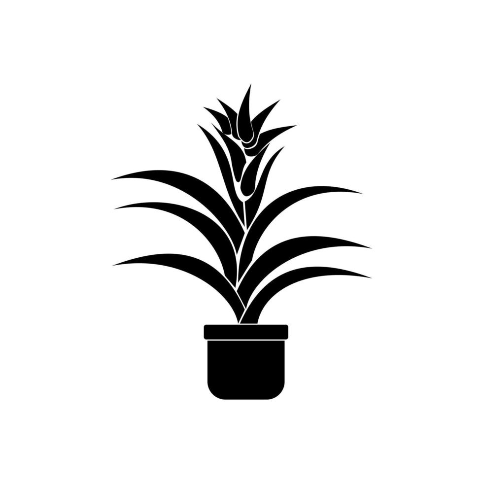 Bromeliad plants, silhouette of evergreen indoor plants with succulent flower and hard leaves, flower pot icon with flower vector
