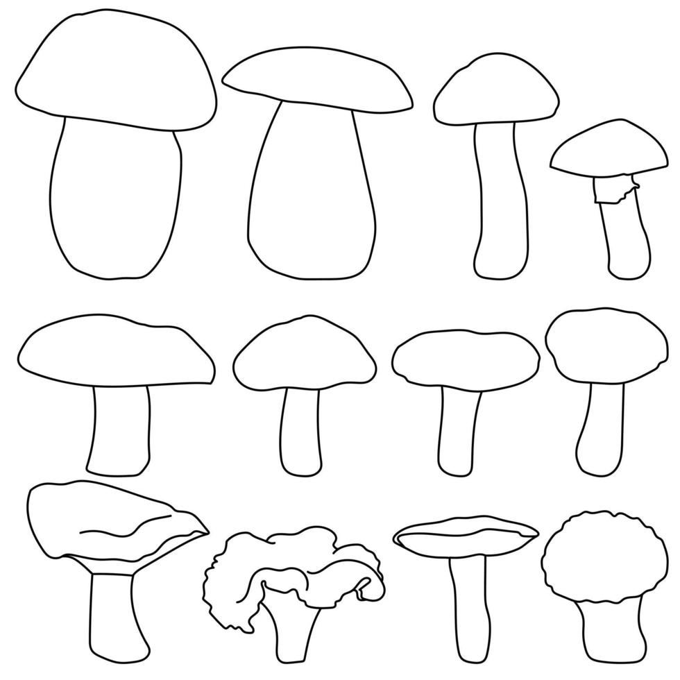 Edible mushrooms set, contour cap mushrooms of various shapes and sizes vector