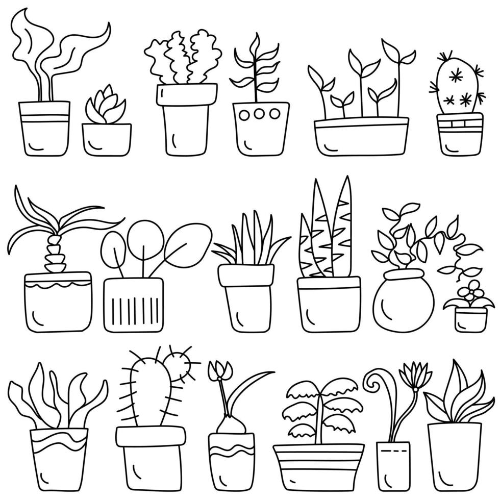 Outline doodle set of potted houseplants, succulents and deciduous flowers for home furnishing vector