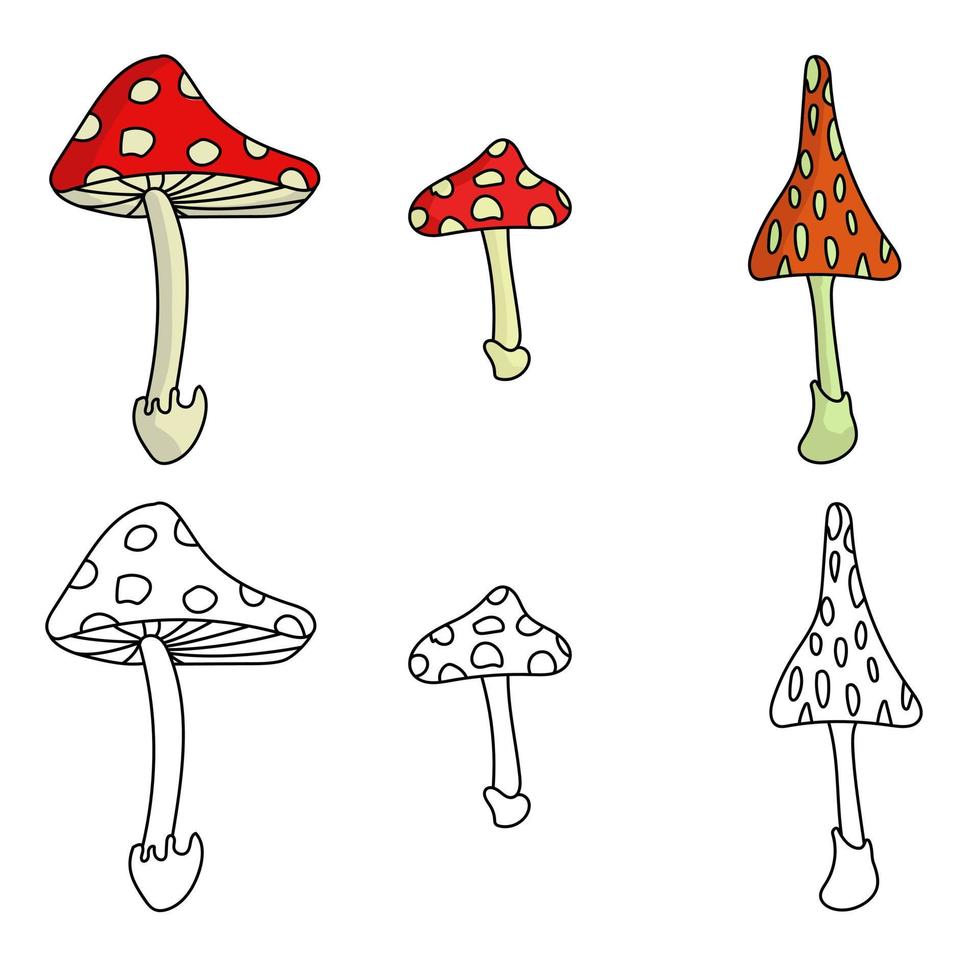 A set of three fly agarics in color and outline, bright dangerous mushrooms vector