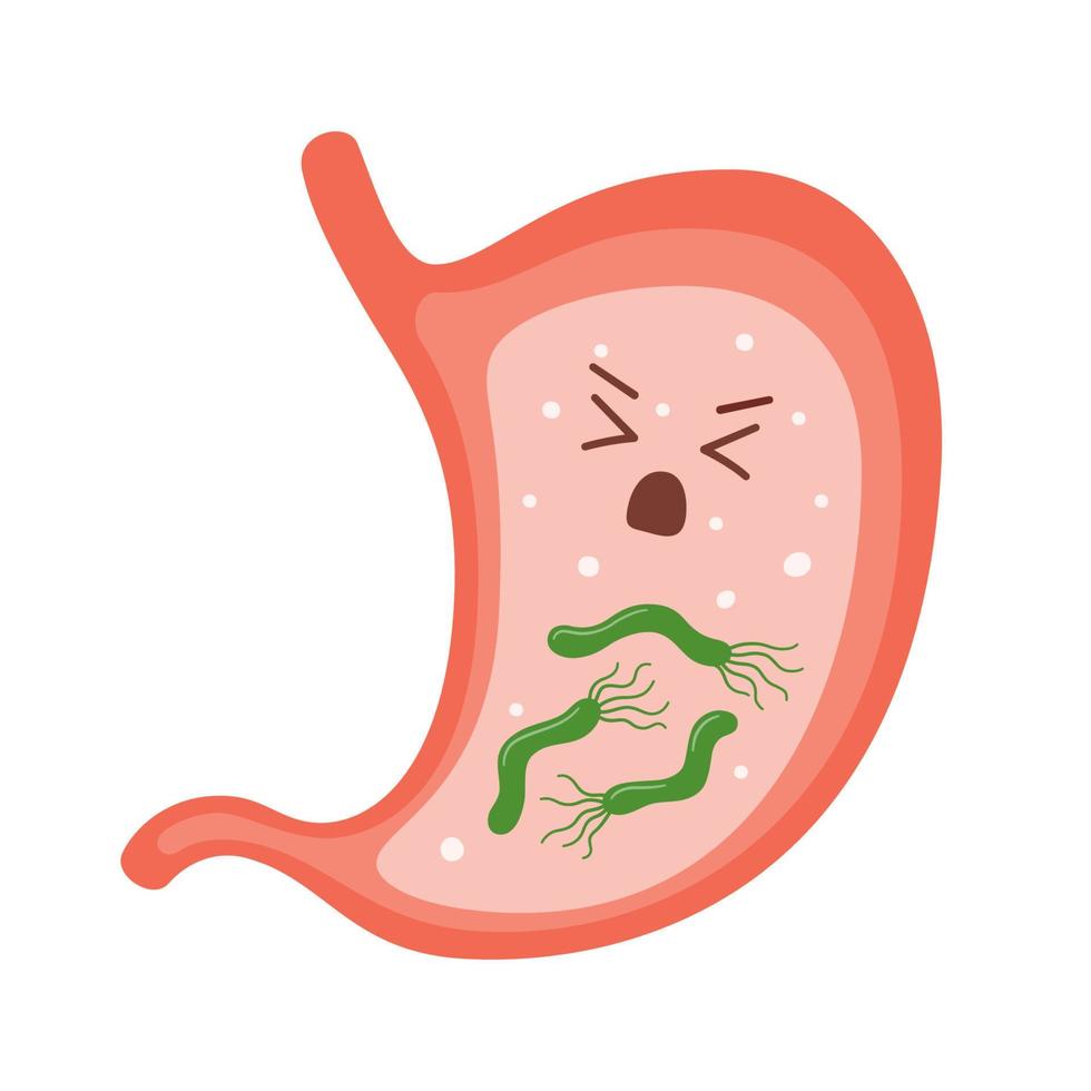 Helicobacter Pylori in the stomach. Sick stomach character. Bacterium with flagella that causes gastritis. vector