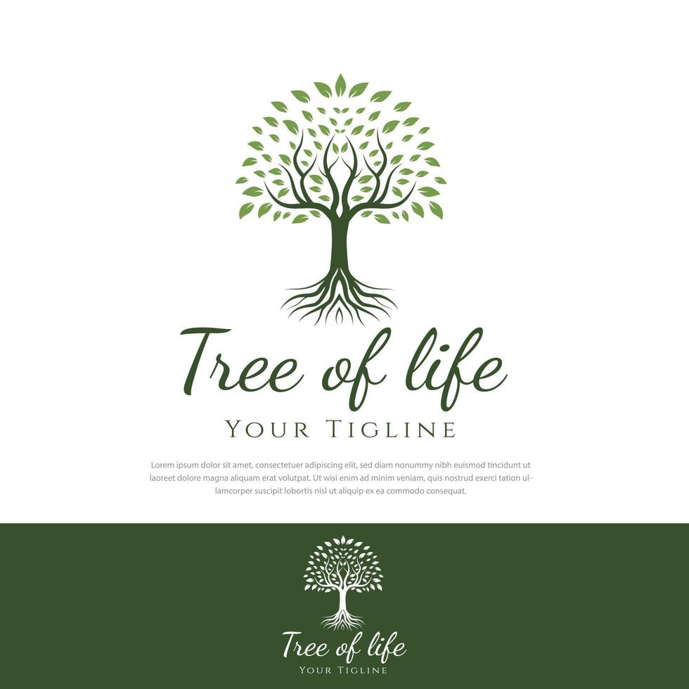 Tree of life logo design root tree.green plant nature line symbol,green branch with leaf business sign vector illustration