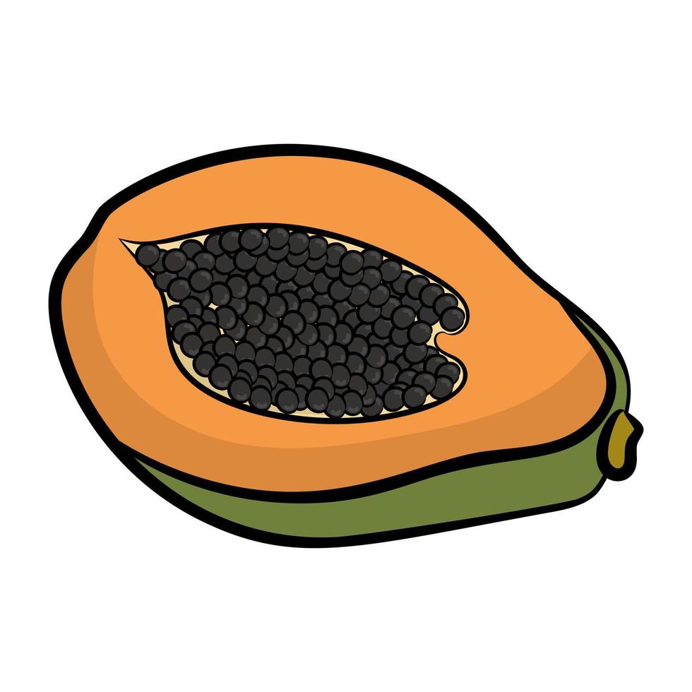 Trendy Papaya Concepts vector