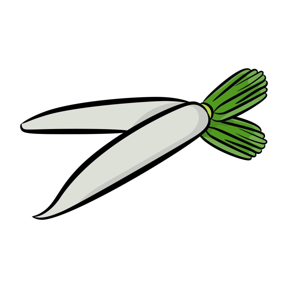 White Radish Conecpts vector