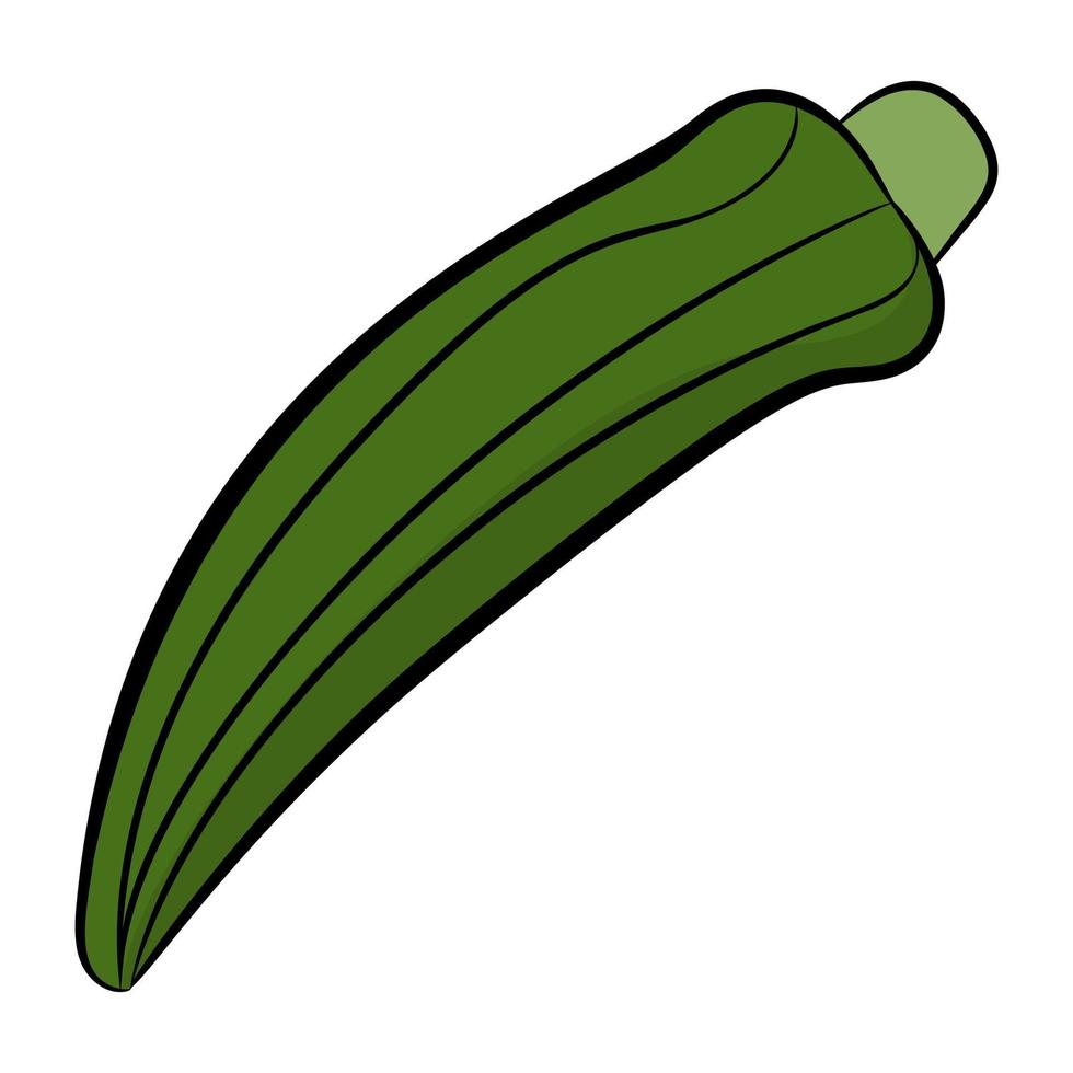 Trendy Ladyfinger Concepts vector