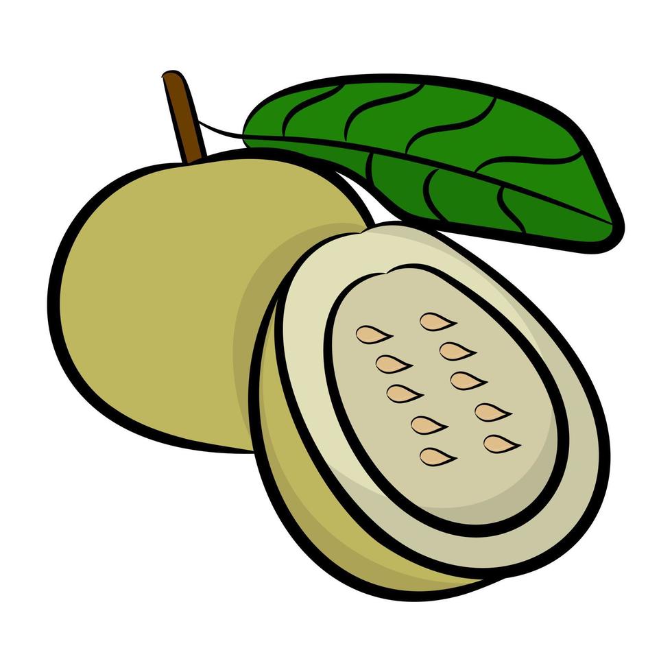 Trendy Kiwi Concepts vector