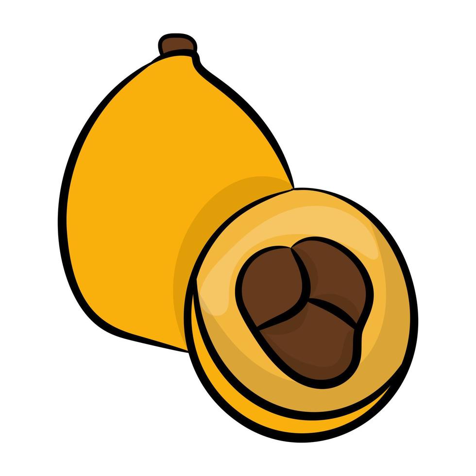 Trendy Loquat Concepts vector