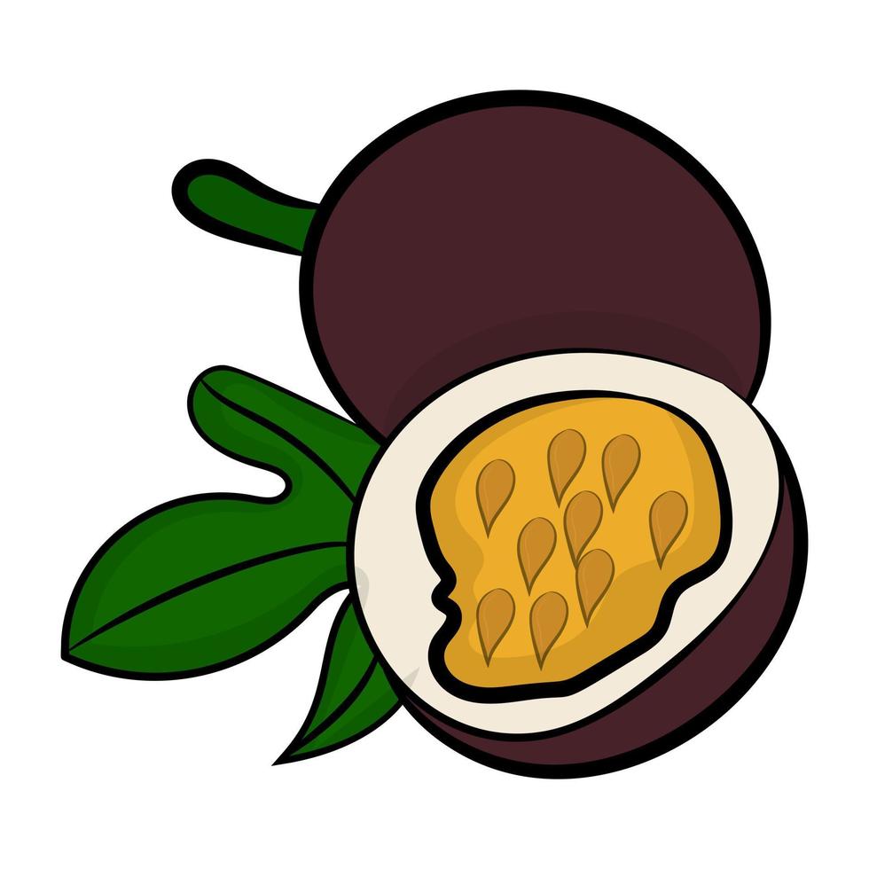 Passion Fruit Concepts vector