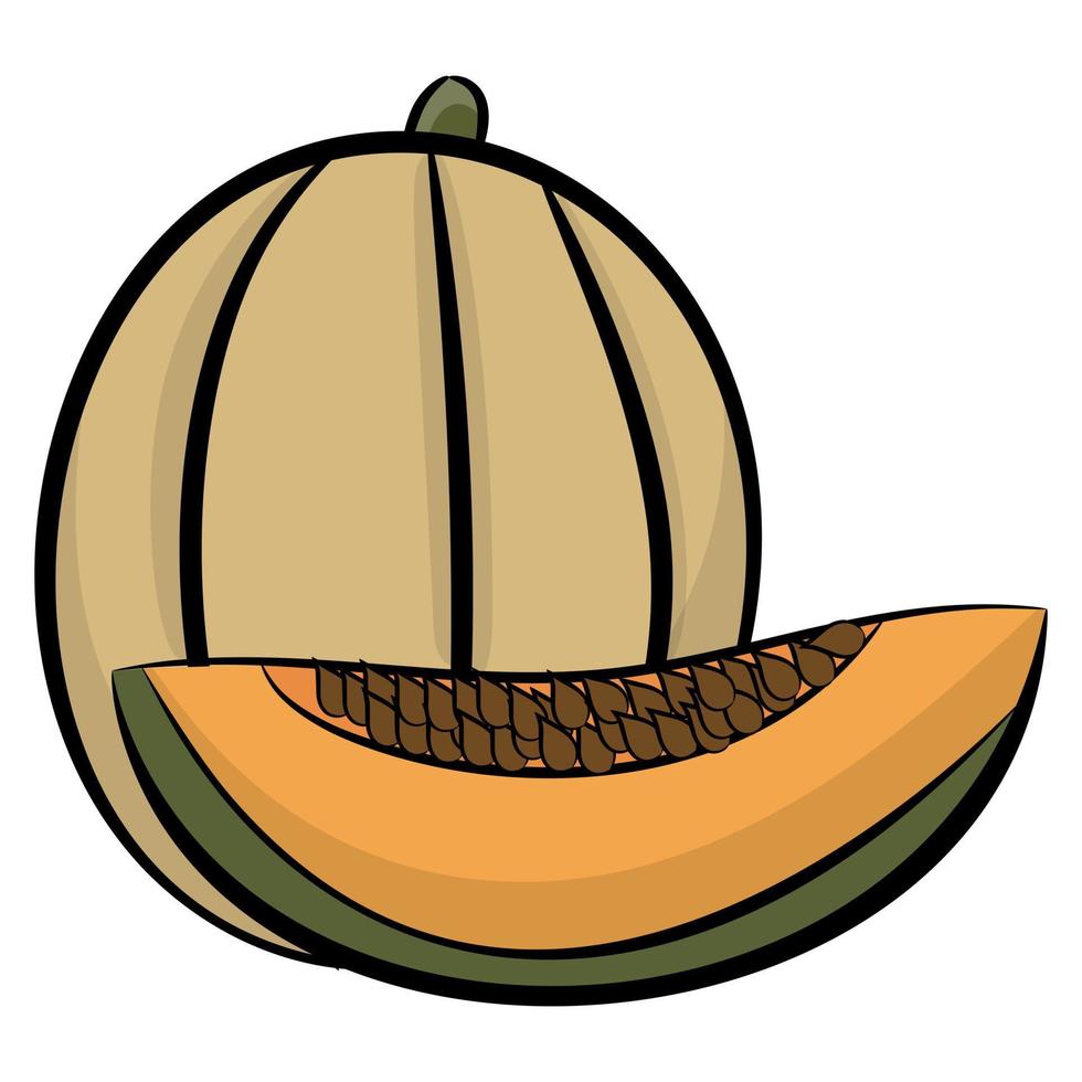 Trendy Melon Concepts vector