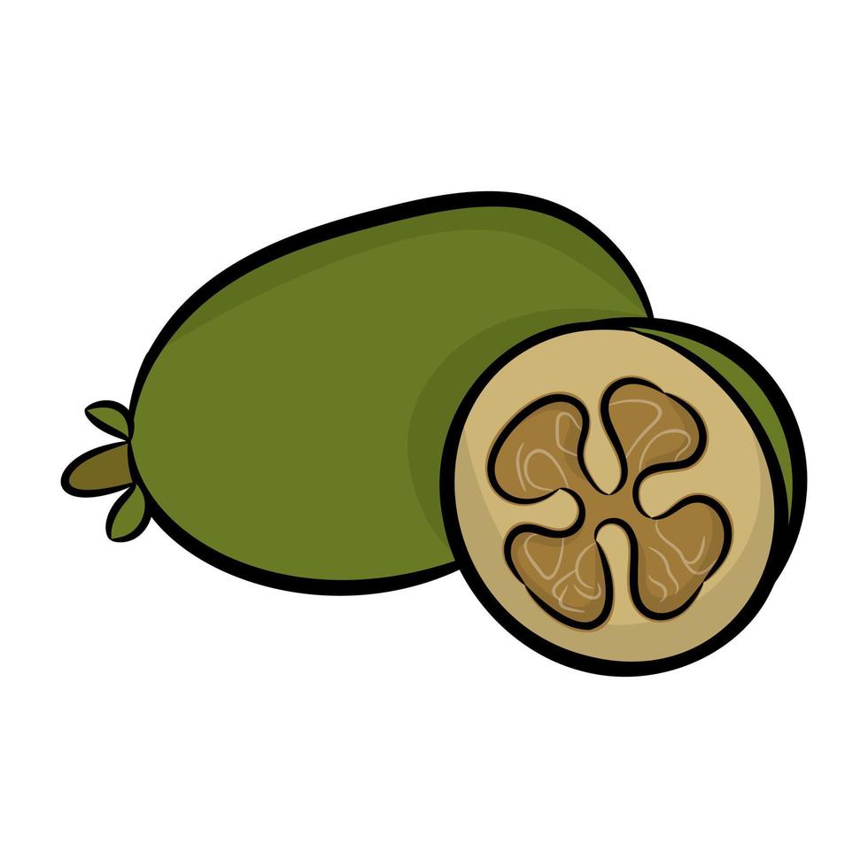 conceptos de kiwi de moda vector