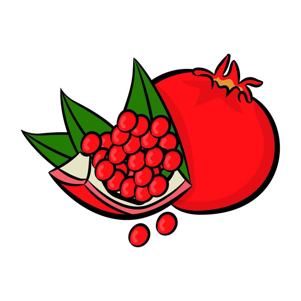 Trendy Pomegranate Concepts vector