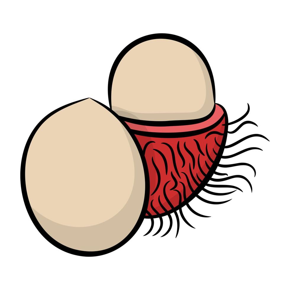 Trendy Lychee Concepts vector